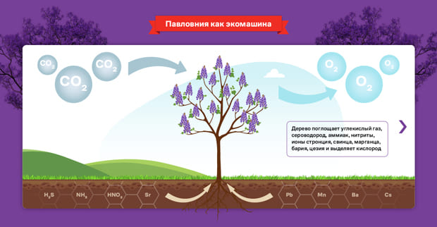11 Инфографика 2